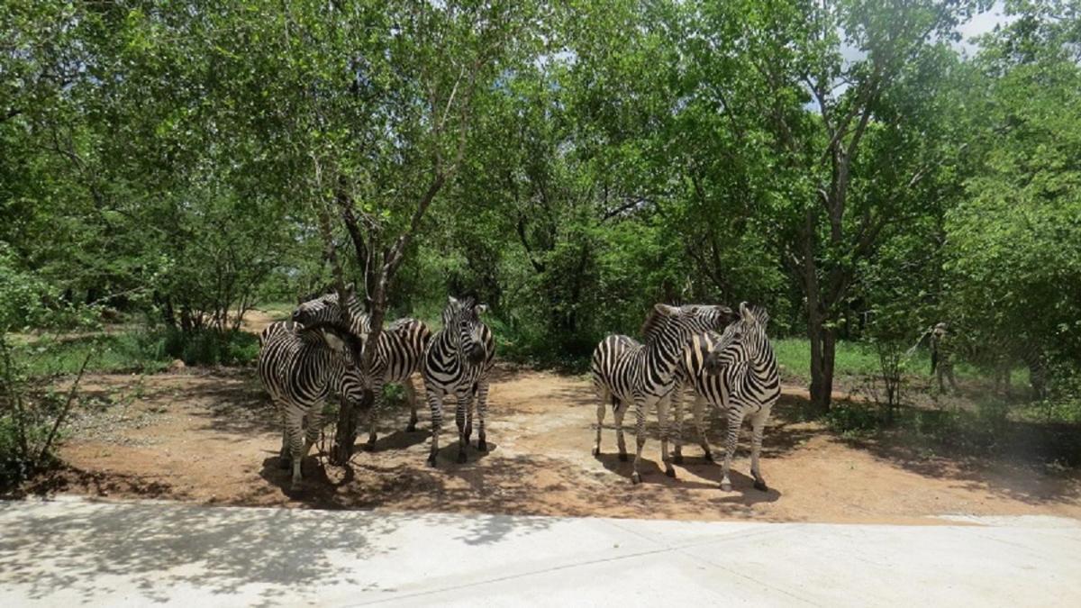 Crowe'S Nest Villa มาร์ลอทพาร์ค ภายนอก รูปภาพ